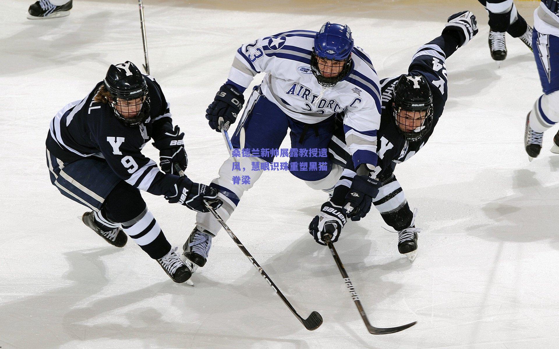 桑德兰新帅展露教授遗风，慧眼识珠重塑黑猫脊梁